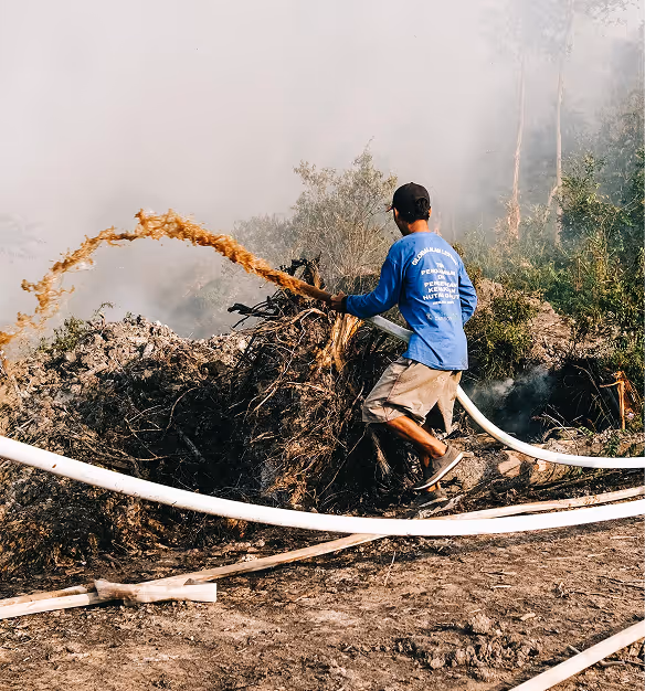Restoring Ecosystems & Preventing Fires